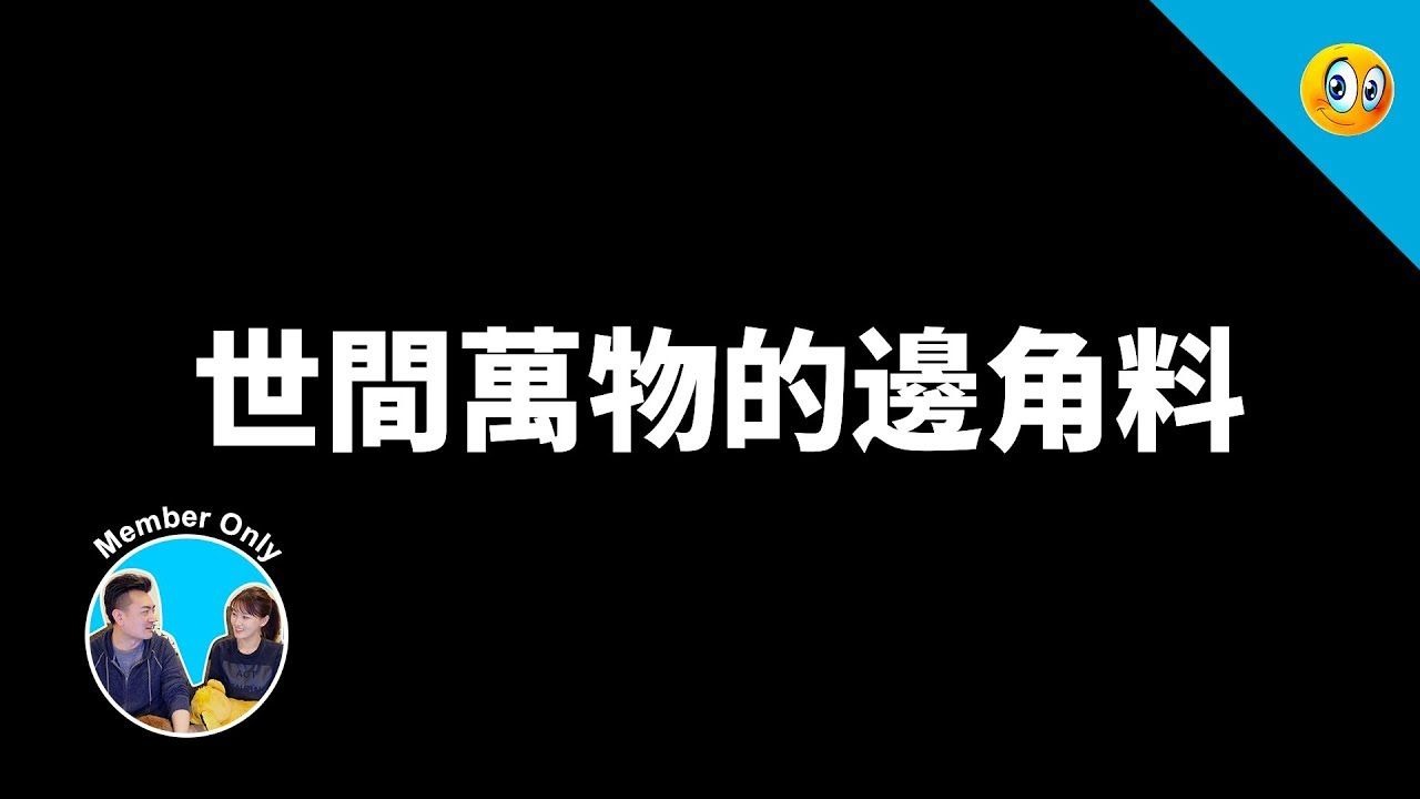 【会员专享】永生的边角料