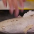 【液氮实验】把活鱼扔进液氮，这是一条有脾气的鱼