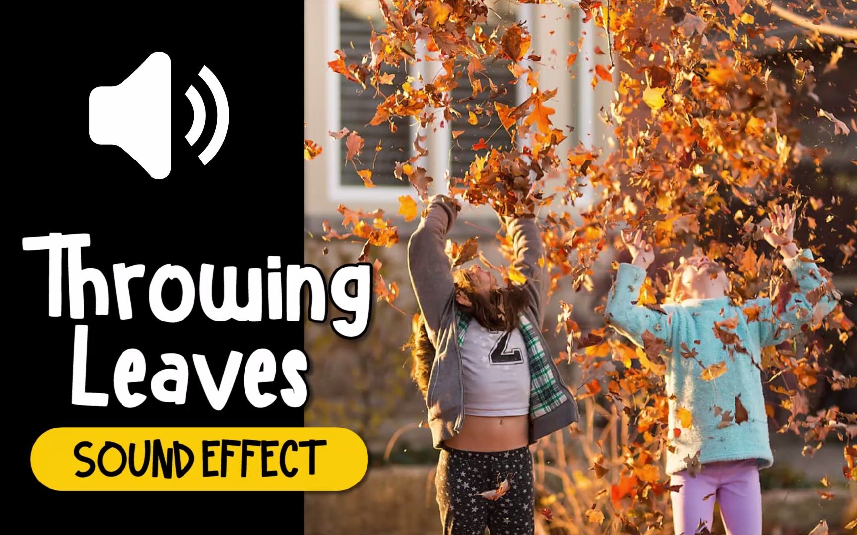 撒 树叶 丢 叶子 音效 (HQ)