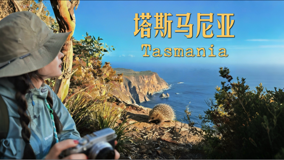 离南极最近的澳洲岛屿，竟有这么多神奇动物！塔斯马尼亚旅行日记