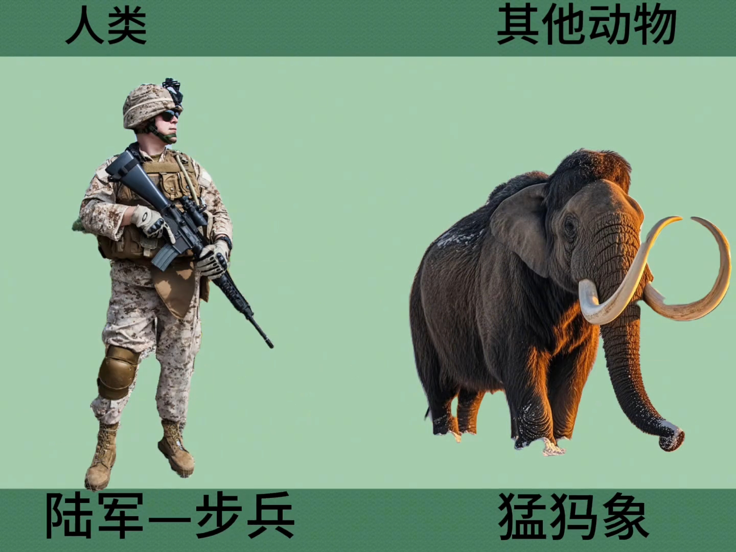 人类VS动物