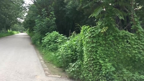 05262931f743d37ac08e77a364a4a435665949de.jpg@280w_158h_1c_100q.jpg
