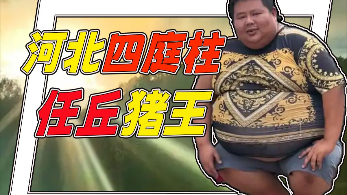 河北四庭柱，胃袋取缔大脑第一人，徒步界清流，良子抽象人生。【抽象人物志10】