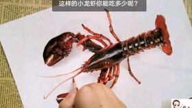 055f7c6f0d873c05c53c68f62e5b119e69deefbb.jpg@280w_158h_1c_100q.jpg