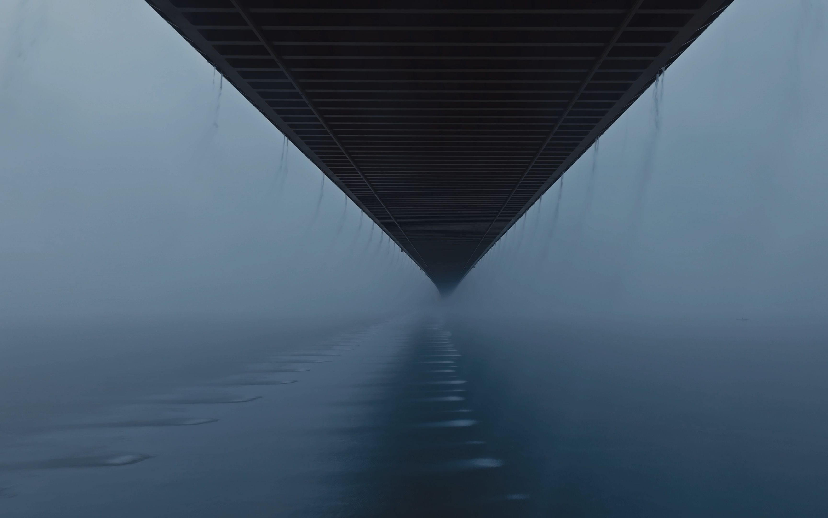 穿梭在暴雨中的武汉杨泗港大桥