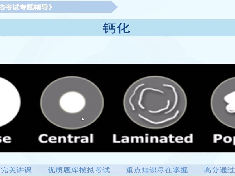 第九章胸部：呼吸系统基本病变（下）
