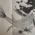 鱼-装饰插画