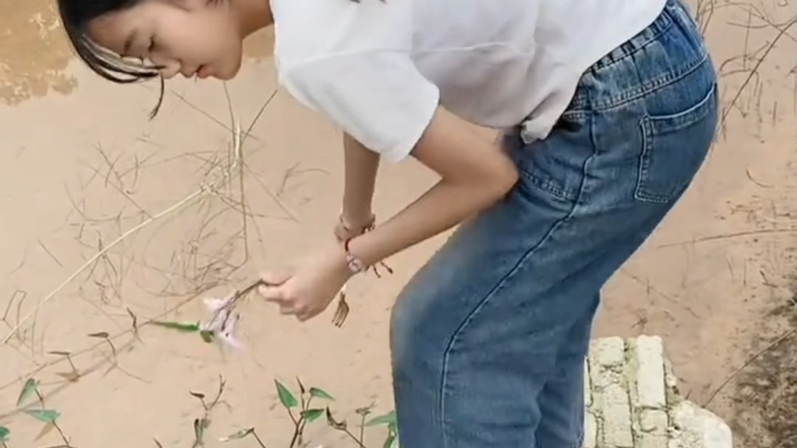 邻家女孩双双日常