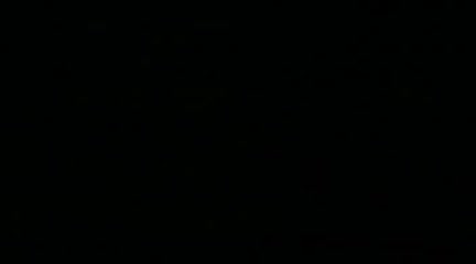 静电场实验视频