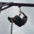 美军陆战队员来教大家攀绳技巧