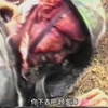 #老山前线