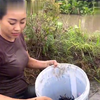 越南姐弟也野池塘里抓螃蟹，收获颇丰