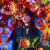 百花繚乱