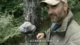 05e0f28b06997648b81fd79c9534ad17191f431e.jpg@280w_158h_1c_100q.jpg