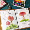 [水彩手绘TN本]2023最后一幅小画，小侄女硬要戳章，就...哈哈哈