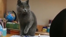 05f51cff8f2a67489593c6c35e7aae5d927db3a8.jpg@280w_158h_1c_100q.jpg