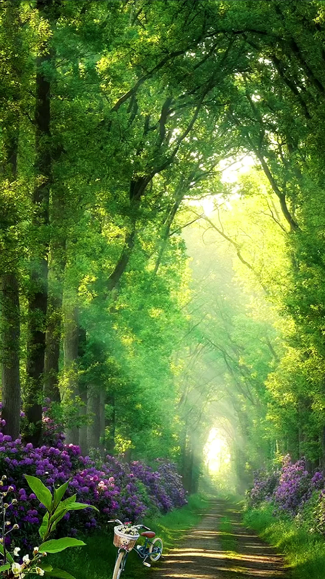 竖屏空镜三小段（1080无水印）