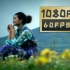 【降央卓玛】西海情歌 1080P60帧 高清修复MV
