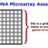基因表达技术和DNA微阵列技术简介