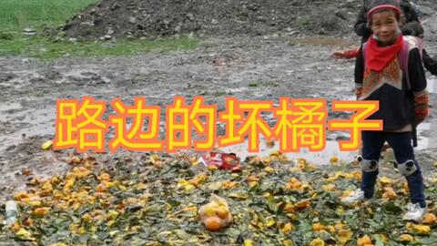 0613c3a05b48ac4c573e8bbdfc5c4c8ea5672c1d.jpg@480w_270h_1c