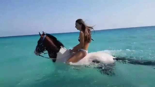 海里骑马是什么感觉