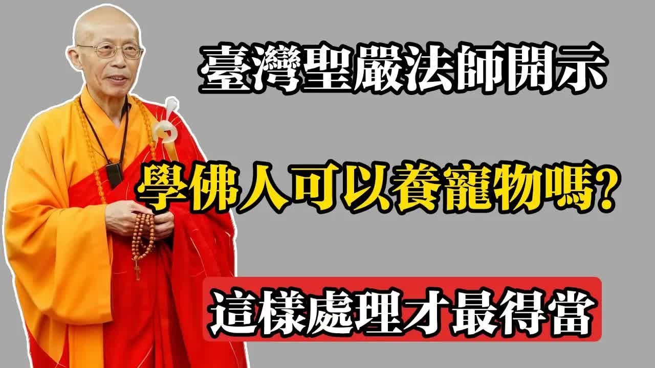 臺灣聖嚴法師開示：學佛人可以養寵物嗎？這樣處理才最得當！#聖嚴法師 #佛教 #佛法 #佛教玄學 #佛教智慧 #佛學知識 #佛學智慧 #修心修行 #佛教文化 #禪