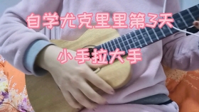 尤克里里曲谱情非得已_情非得已尤克里里