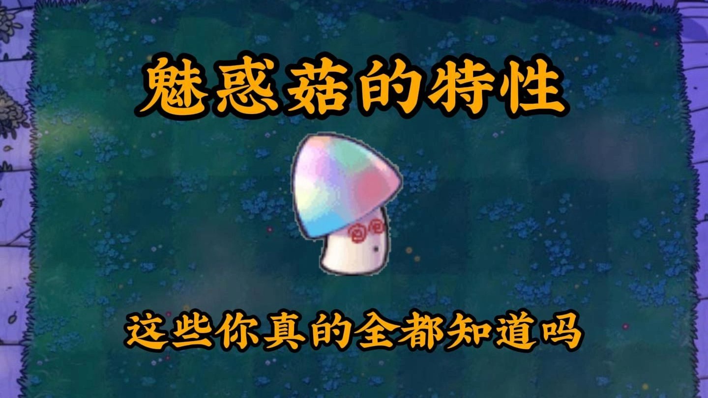 魅惑菇特性科普，这些特点你真的全都知道吗