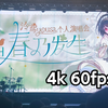 4K60fps【泠鸢yousa】当春乃发生 线下【全程录像