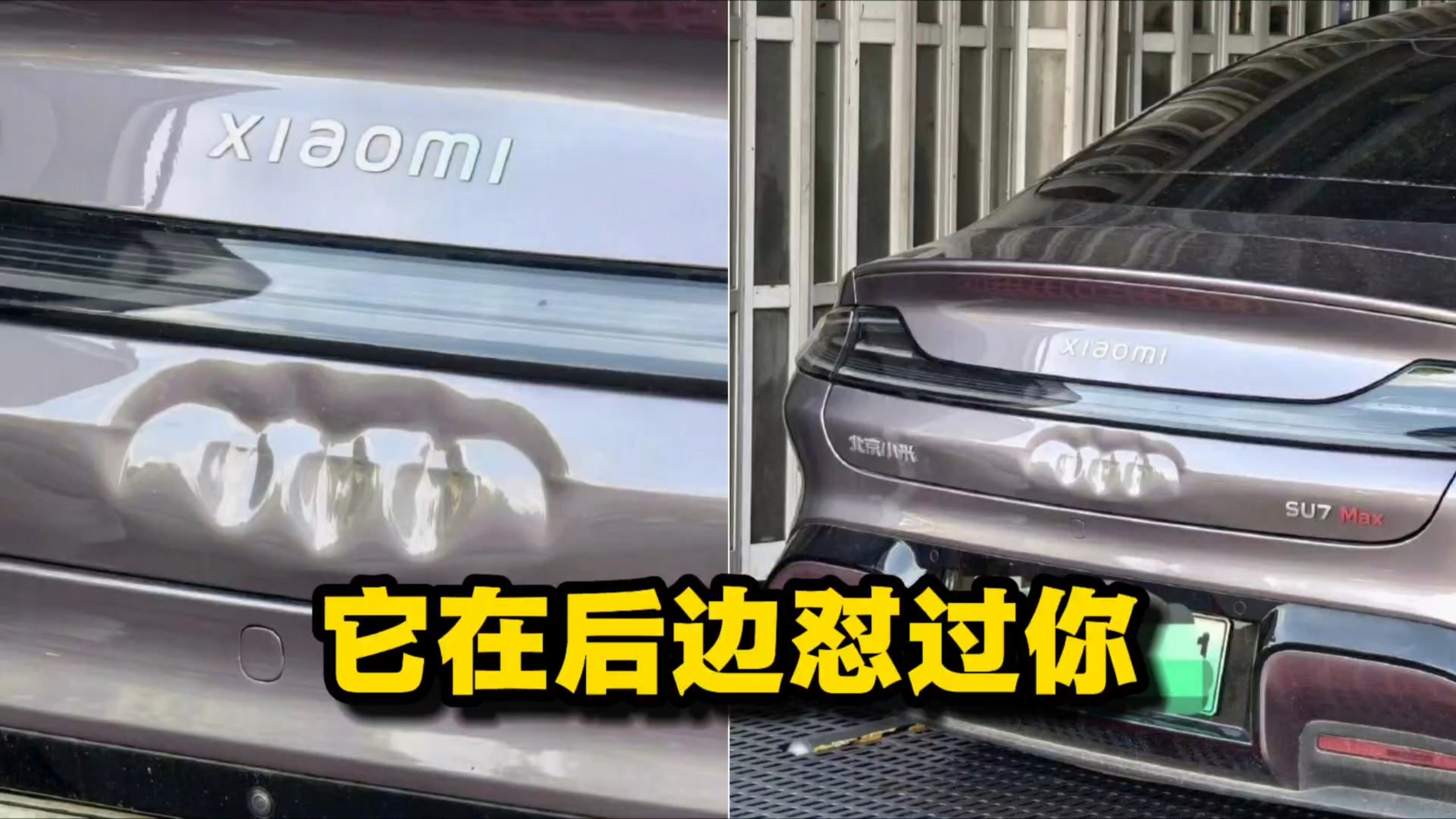 它在后边“怼”过你！留下了它的痕迹～
