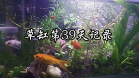 0670263f07873fd75541d173d33db36ff8de5afd.jpg@280w_158h_1c_100q.jpg