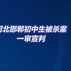 河北邯郸初中生被杀案一审宣判