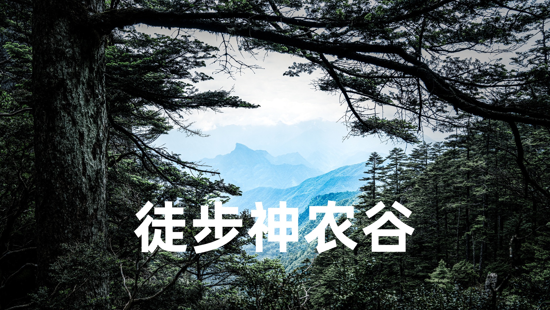 【风光摄影】Vlog｜负重20斤徒步神农谷，一路走走停停拍拍，很累，但很值！
