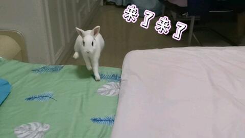 06afe0249b173673d1a0b2113b918ec02b192325.jpg@480w_270h_1c