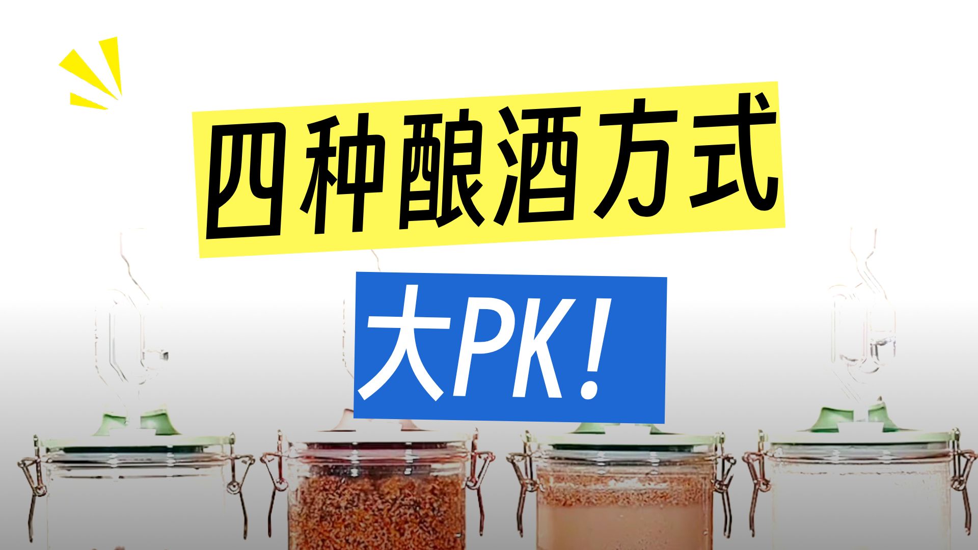 经常听说固态和液态，我再结合洋酒的做法，一并做了四种试验