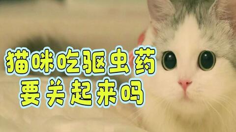06c3b1811d61e94c4a822ba9dd3d0d1a120fa559.jpg@480w_270h_1c