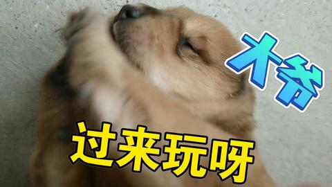 06c428496a5f3305f140f2c19e2537113143aa05.jpg@480w_270h_1c