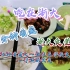 【吃在浙大】三分钟看遍浙大食堂|大一新生一学期的食堂饮食记录|小漫vlog3