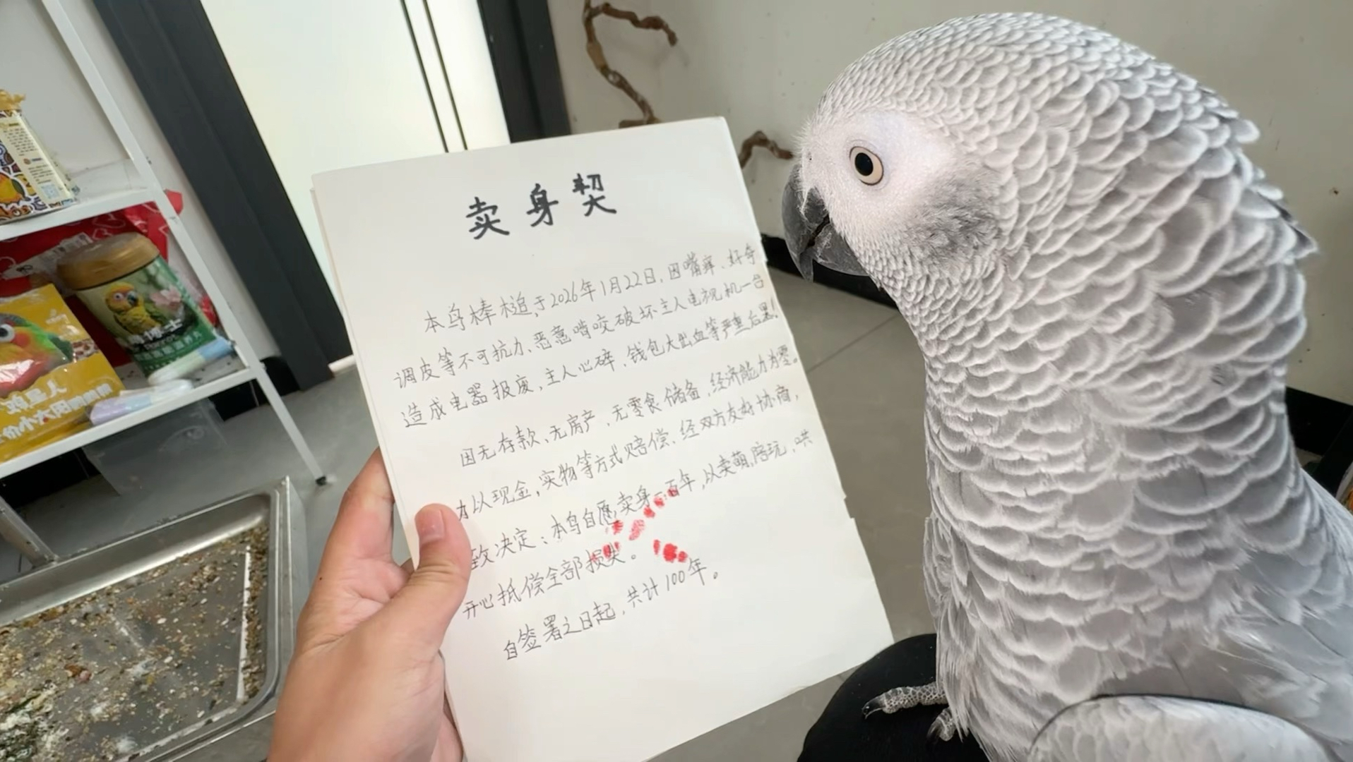经过友好协商，卖身100年