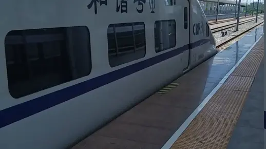 2020年6月12日，D3333（福州南-深圳北）陆丰站进站。本务南局南昌段CRH2A-2224。