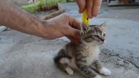 0722967b387ddc4c0fb245e6a27a1aeee7ffa773.jpg@480w_270h_1c