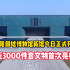 安阳殷墟博物馆新馆今日正式开馆，近3000件文物首次亮相