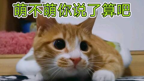 074c7fbba74b7c88f9a955b5dcffc4240a819f09.jpg@480w_270h_1c