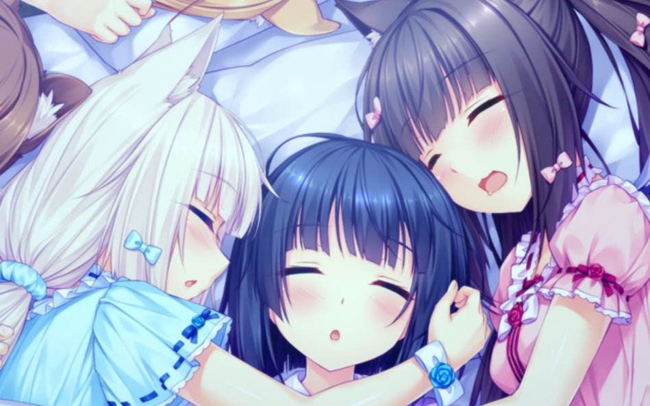 【nekopara】艹猫 vol.0实况 第一天:今天主人不在家