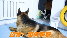 07a0cd35b20daefbcf688907f2ed11bd2f6c268a.jpg@280w_158h_1c_100q.jpg