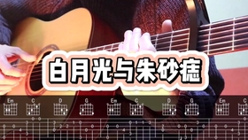白月光和朱砂痣曲谱吉他_白月光与朱砂痣曲谱(4)