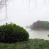 【白噪音】实景拍摄正对湖泊的树林里听雨