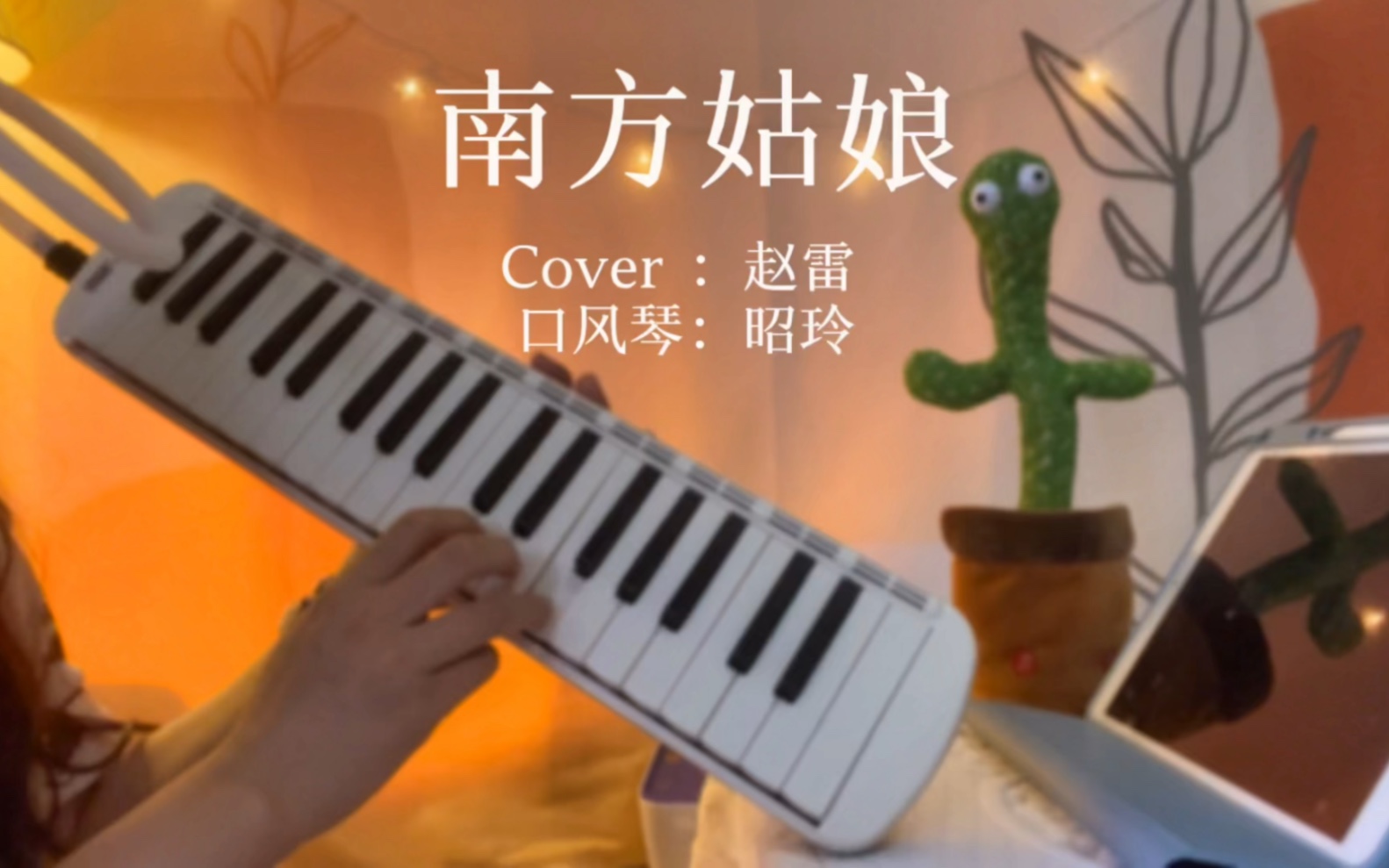 《南方姑娘》口风琴演奏cover.赵雷