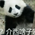 震惊！！！！围观群众居然对熊猫仔做出这种丧心病狂的事情！！！