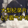 大型《儿子霸气护母》持续为您播出